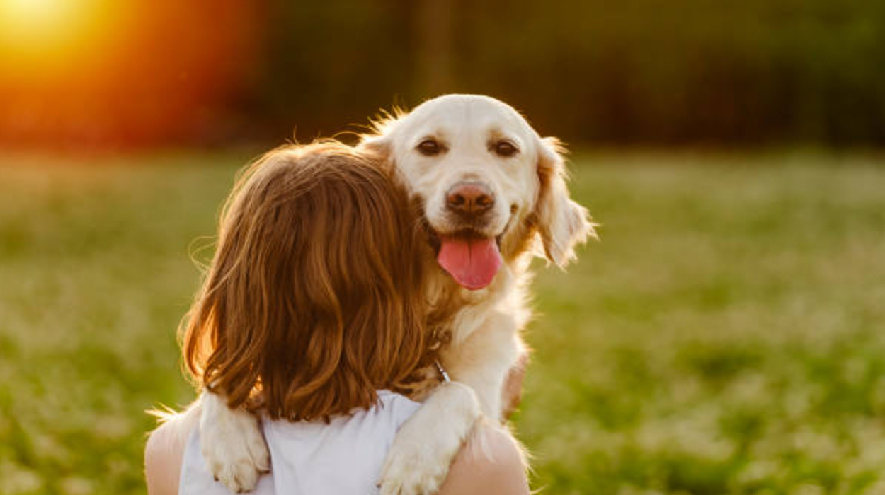 why-god-decided-dogs-can-t-live-as-long-as-people-mcsweeney-s