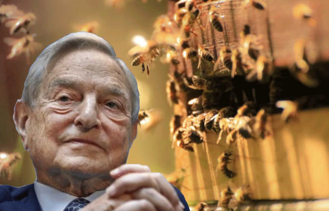 George Soros Made a Bee Sting Me - McSweeney's Internet Tendency