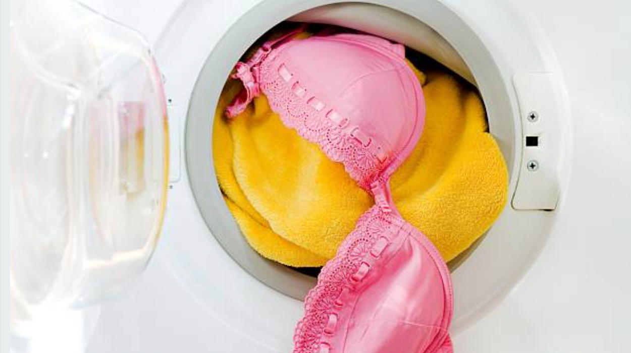Five Places to Hide His Body After He Puts Your Bras in the Dryer