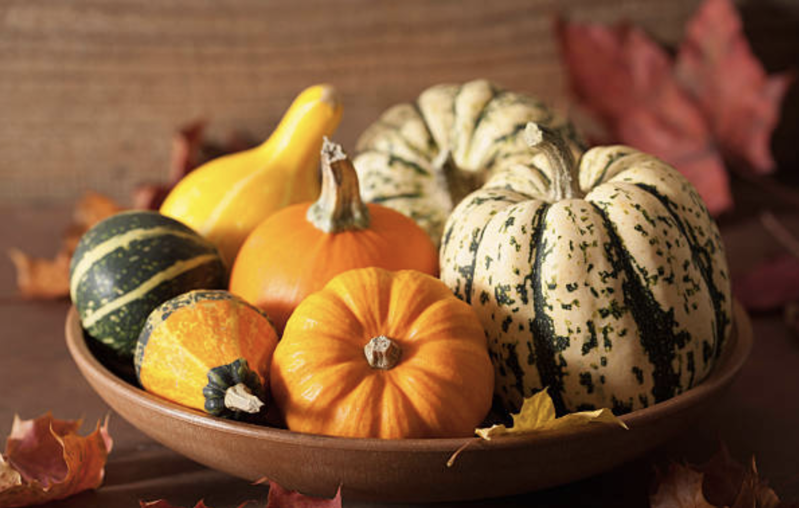 Thumbnail of It’s Decorative Gourd Season, Motherfuckers