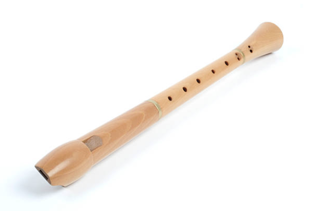 An Open Letter to My Son’s Recorder - McSweeney’s Internet Tendency