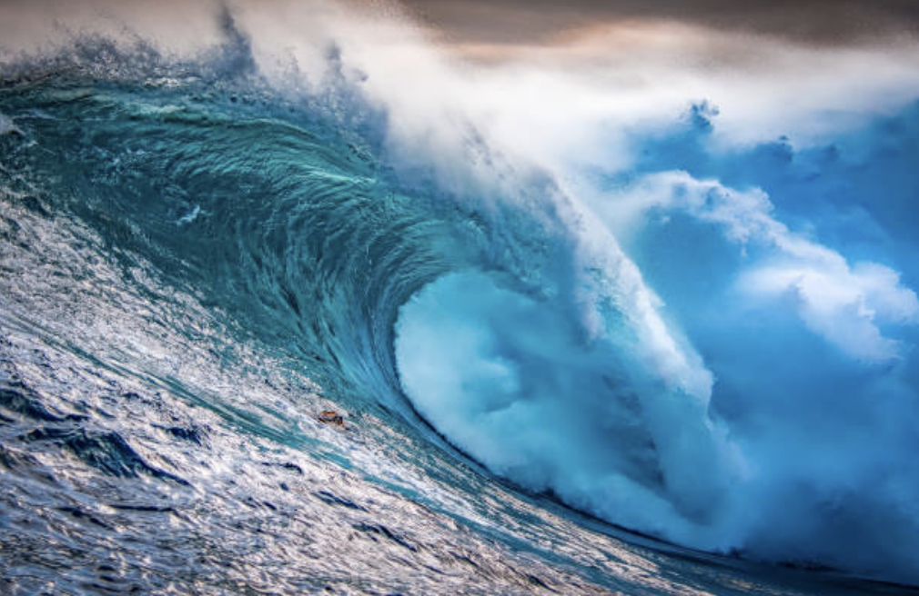 Turns Out the Blue Wave Was Actually the Ocean Rising to Kill Us ...