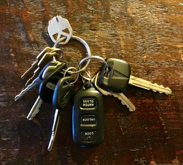 Key Ring Chronicles: NFL Key Ring Collection - McSweeney's