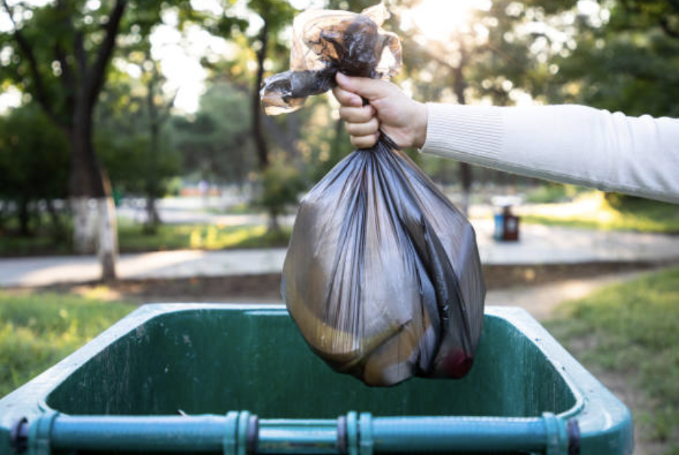 Yes, I Would Be Positively Delighted to Throw Away Your Trash ...