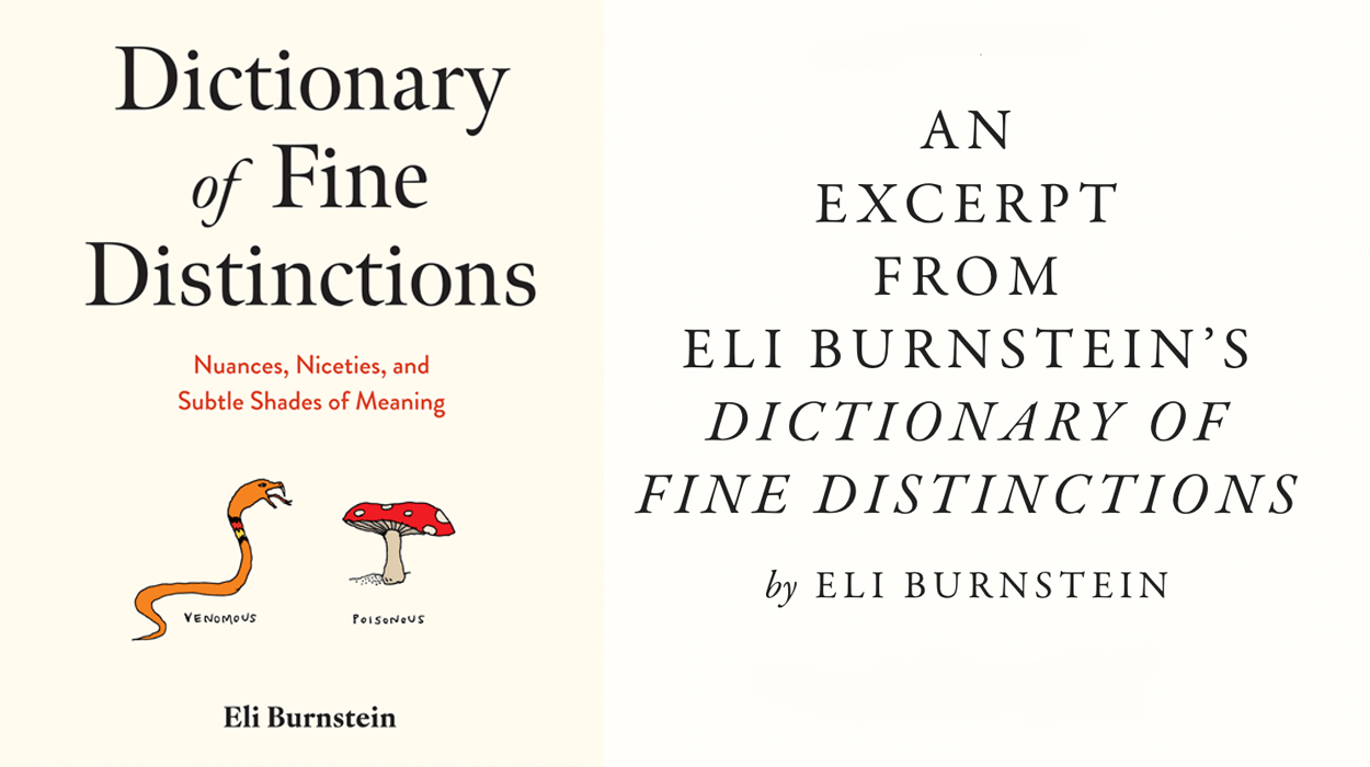 An Excerpt from Eli Burnstein’s Dictionary of Fine Distinctions ...